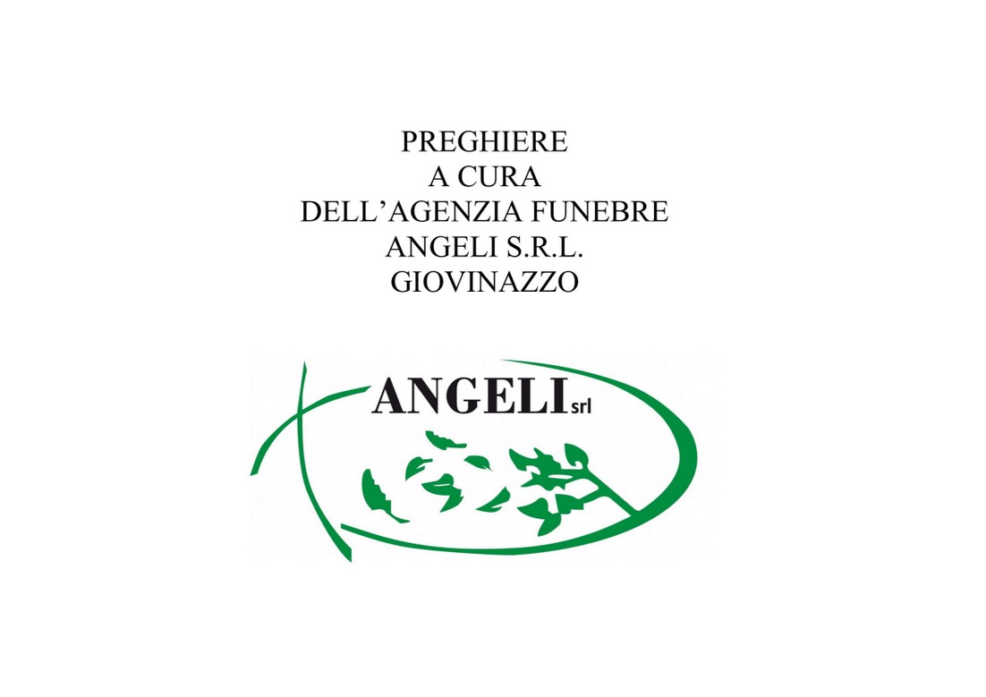 Angeli S R L